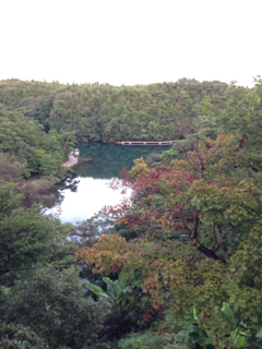 image-20130908210302.png